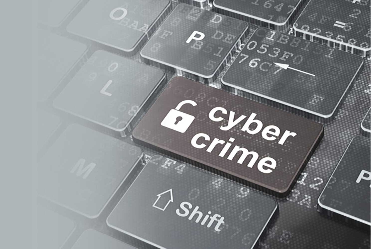 Cybercrime clause makes liability clear